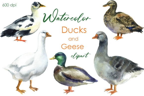 Charming Farm Art: Cute Clipart for Your Projects