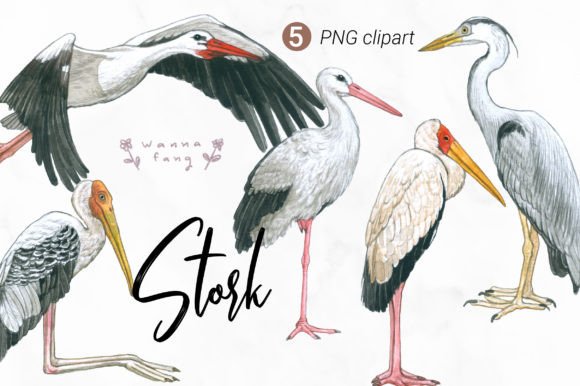 Charming Stork Watercolor Animal Clipart for Creative Projects